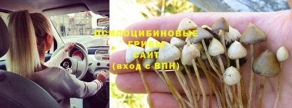 крисы Гусиноозёрск