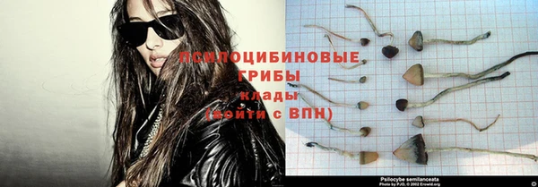 a pvp Гусев